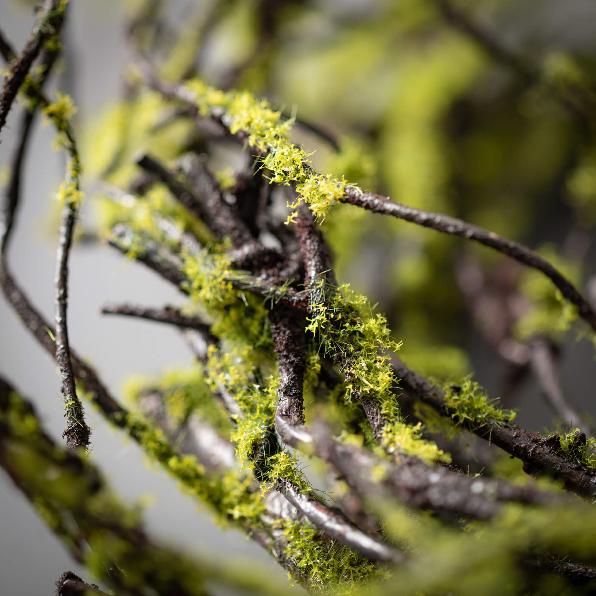 Moss/Twig Wreath