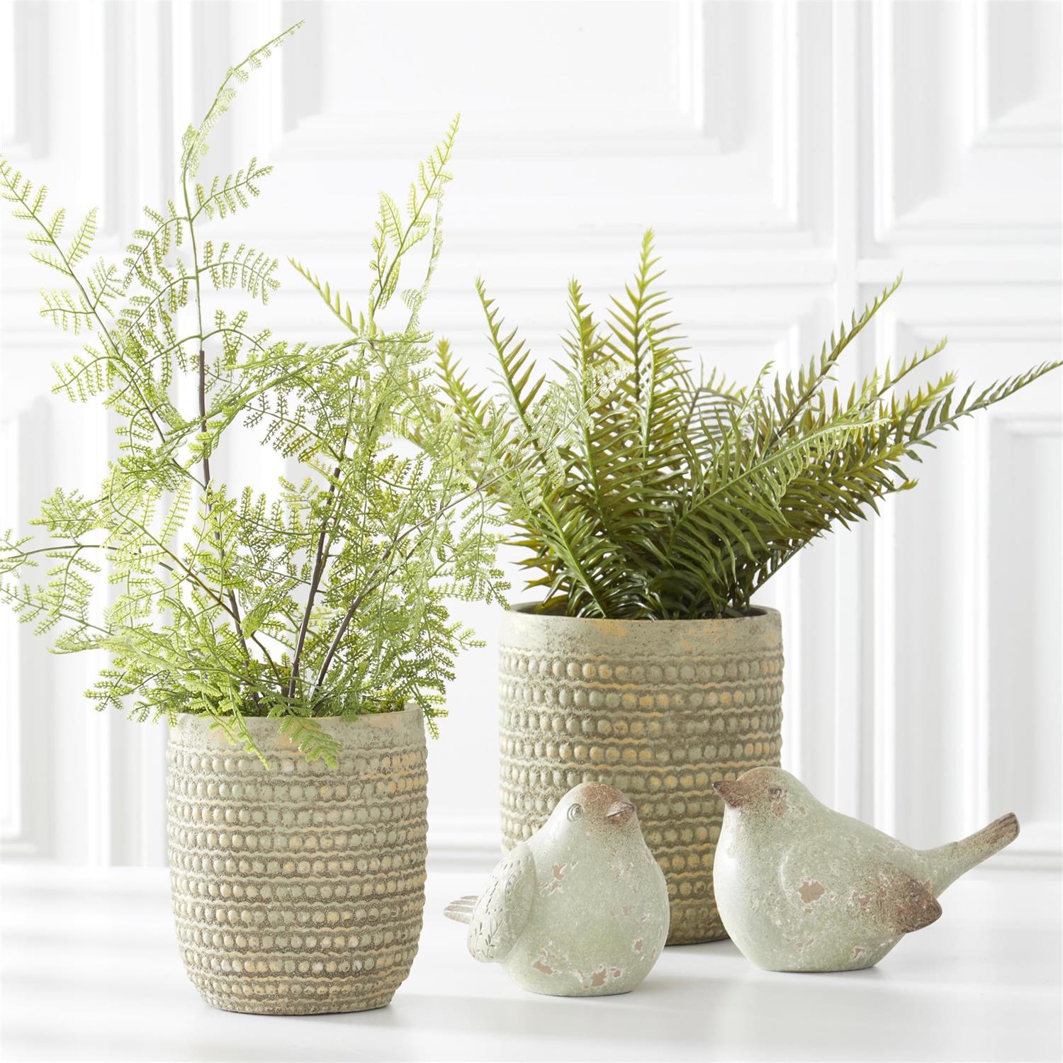 Fern in Ceramic Pot, 21"