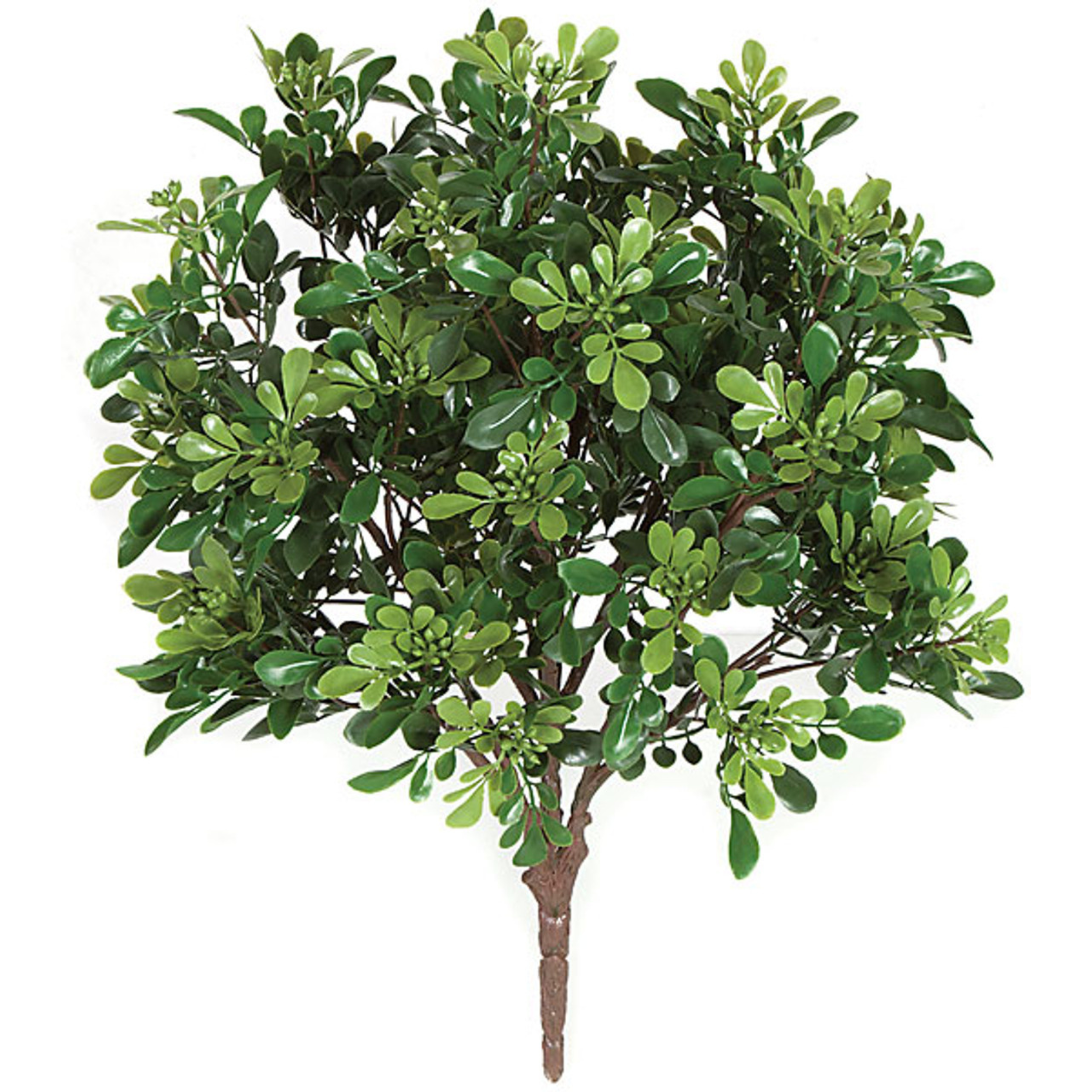 Polyblend Outdoor Boxwood Bush | 20"