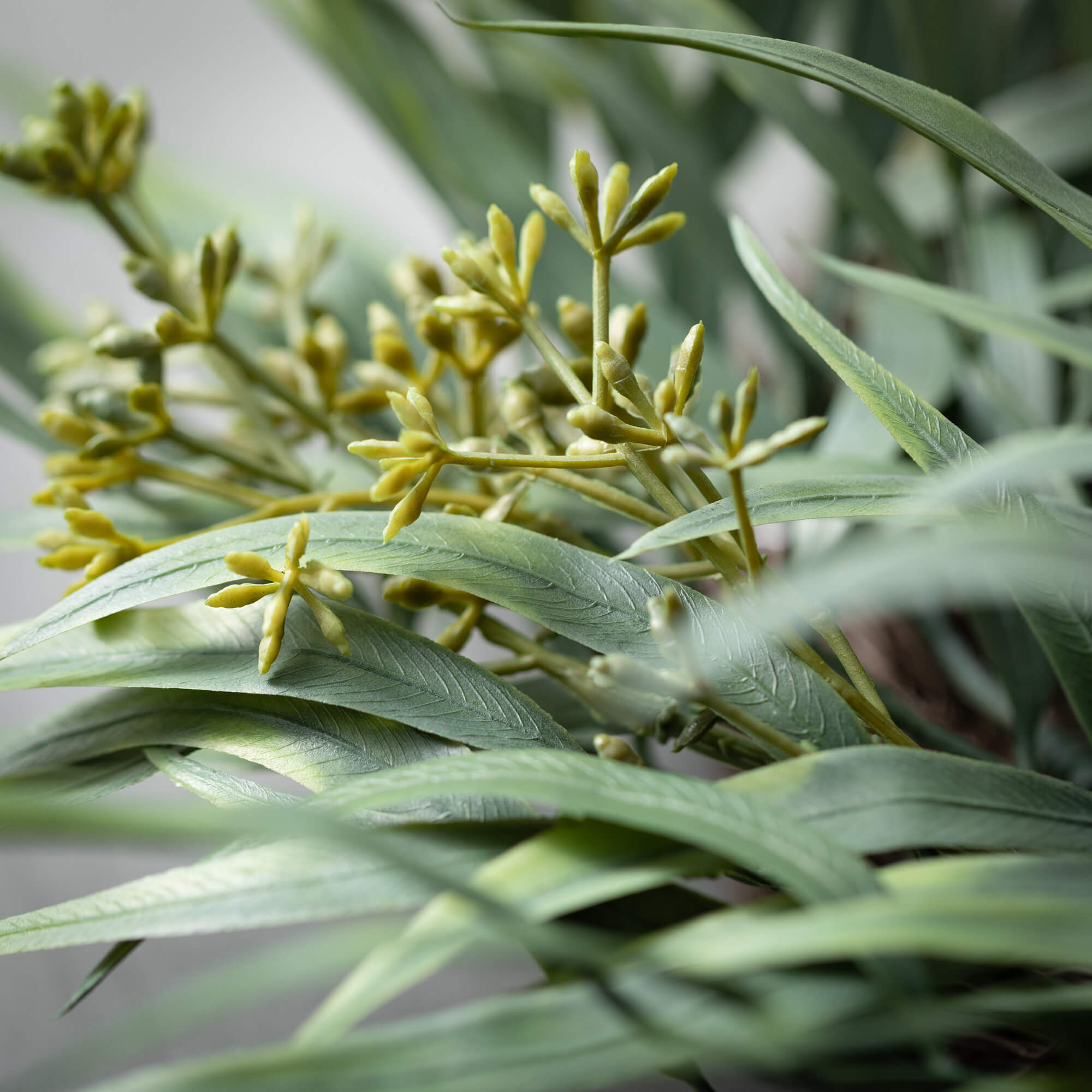 Seeded Spike Eucalyptus Wreath