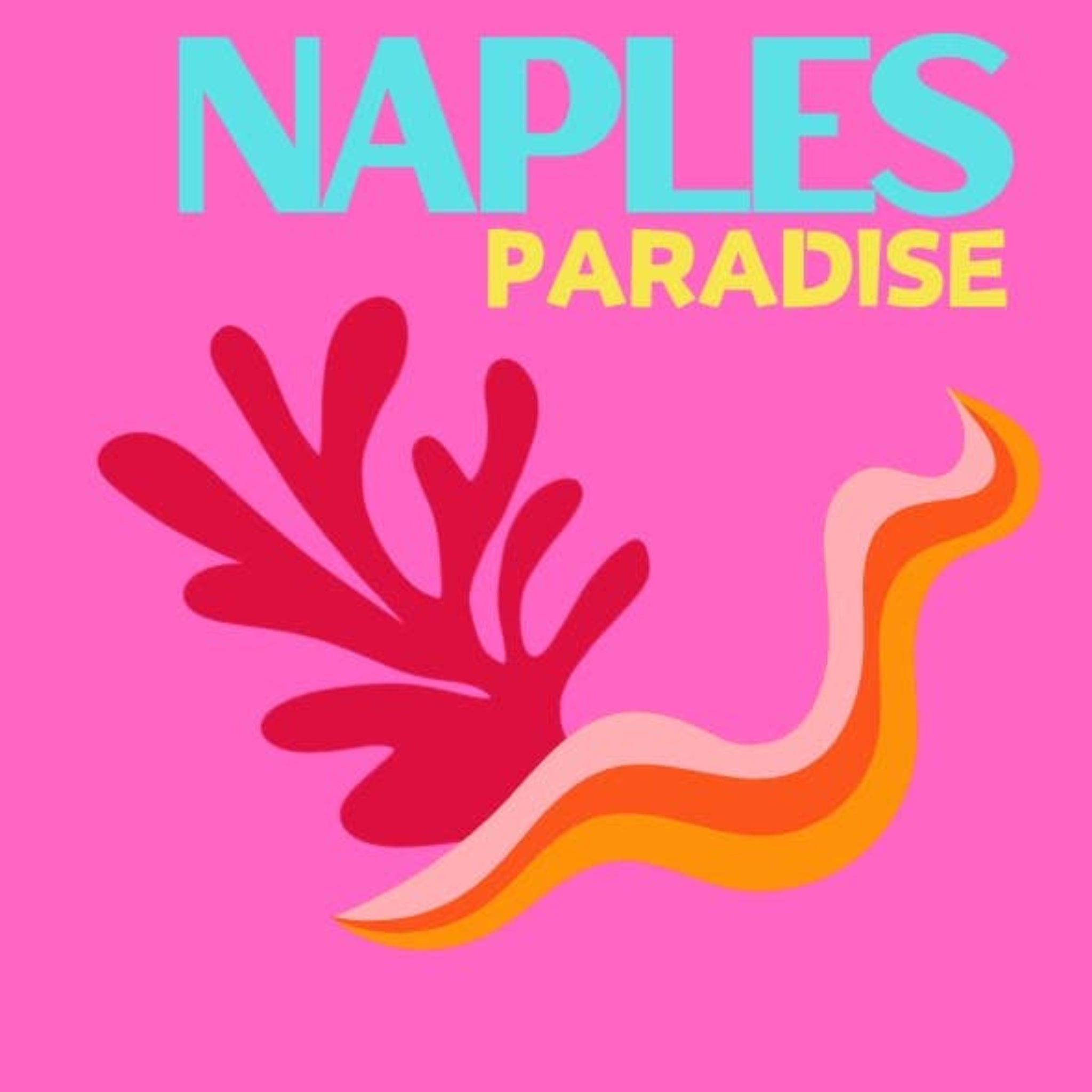 Acrylic  Coasters | Naples
