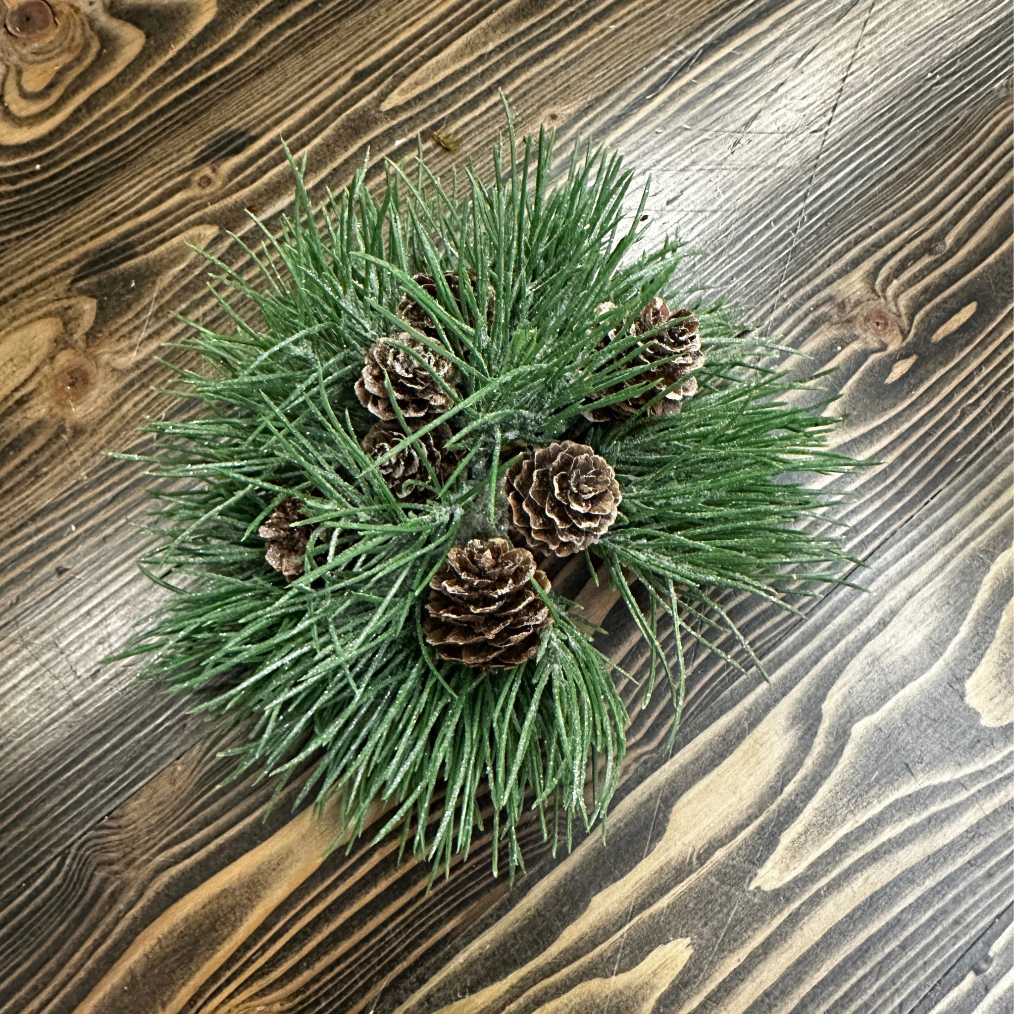 Mugo Pine Orb | 7"