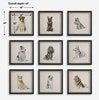 Loyal Companion Framed Prints | Set Of 9