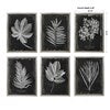 Foliage Framed Prints | Set Of 6