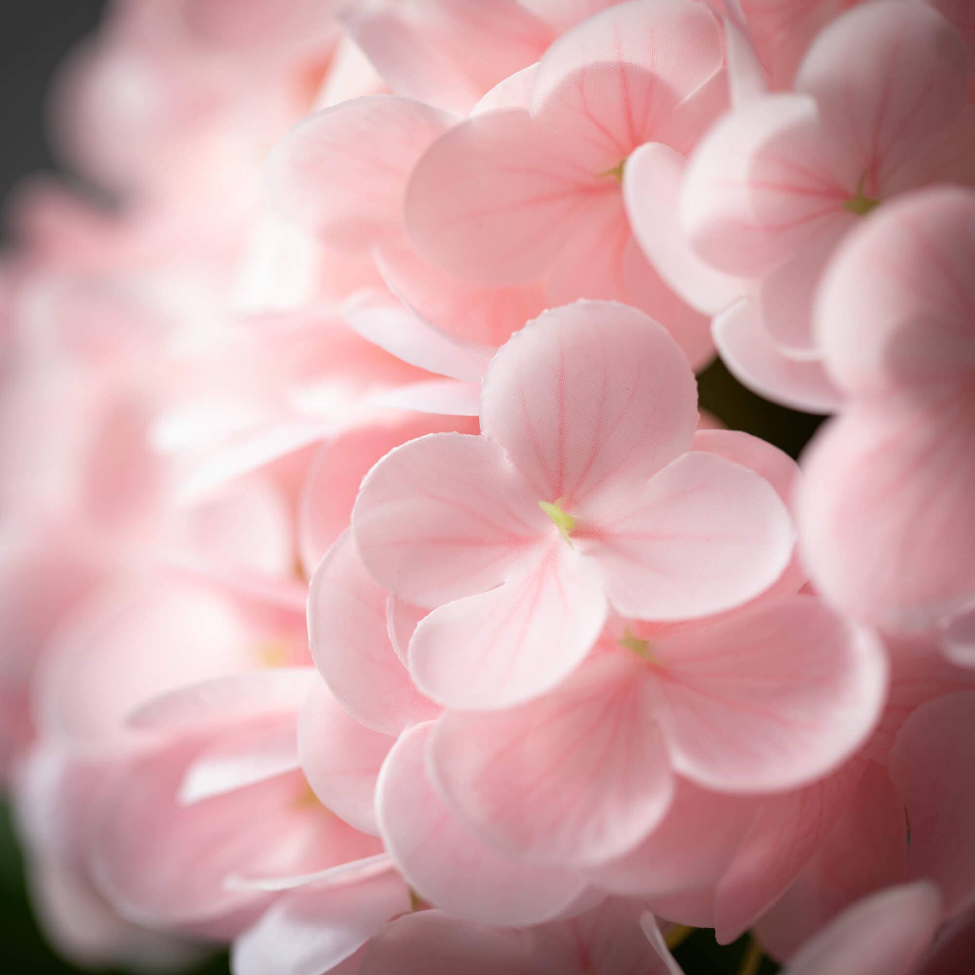 Freshcut® Vivid Pink Faux Spring