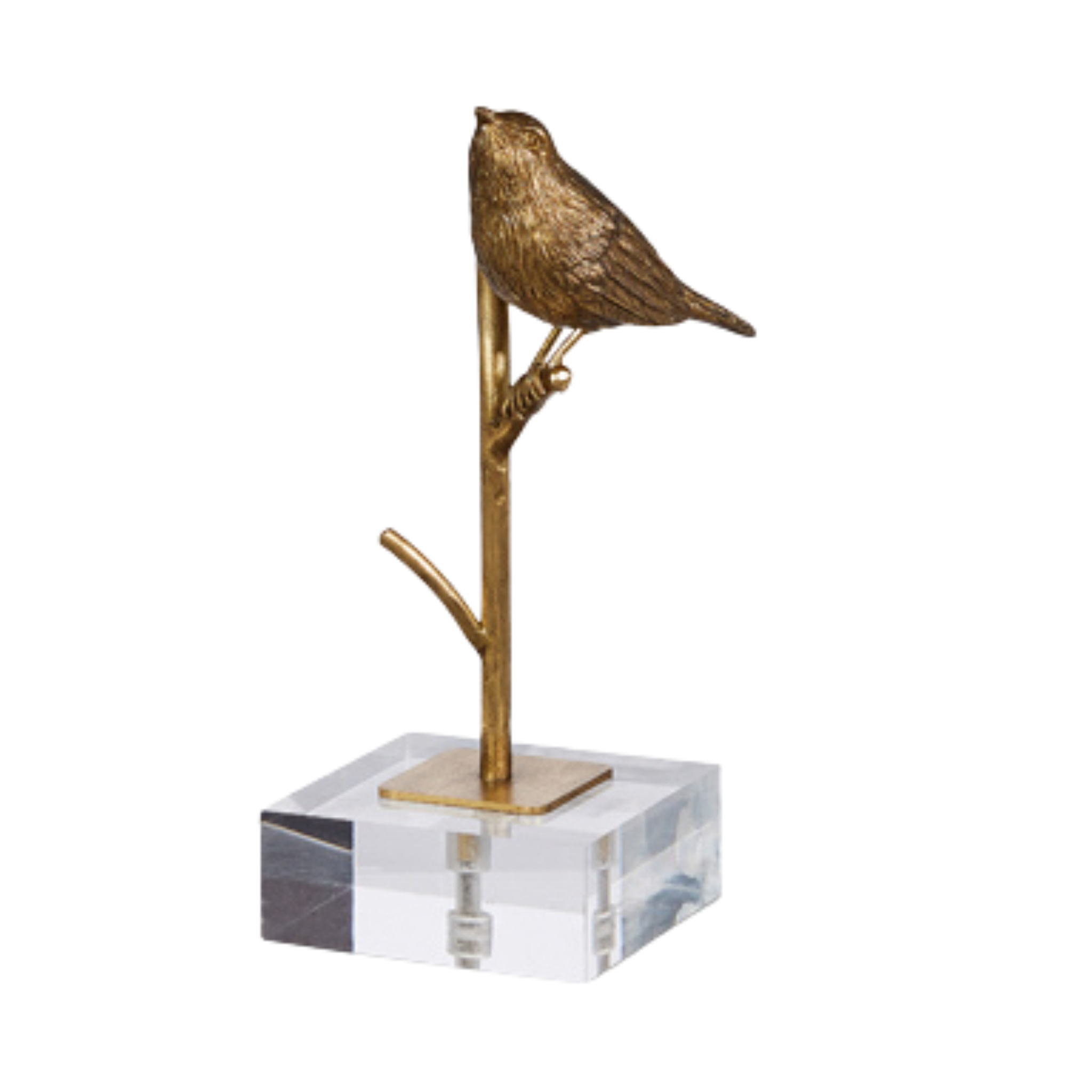 Gold Bird On Branch
