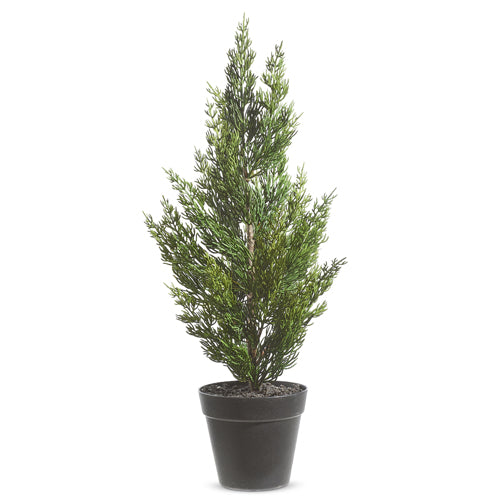 Potted Cedar Tree | 21"