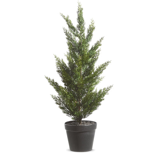 Potted Cedar Tree | 28"