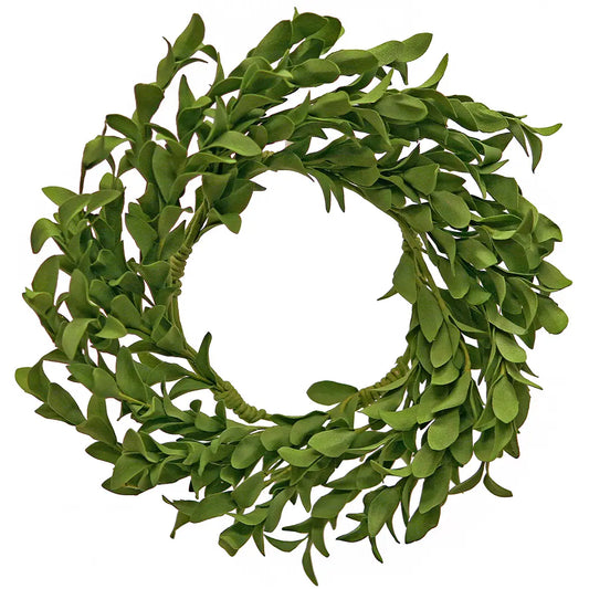 Boxwood Wreath, 6"