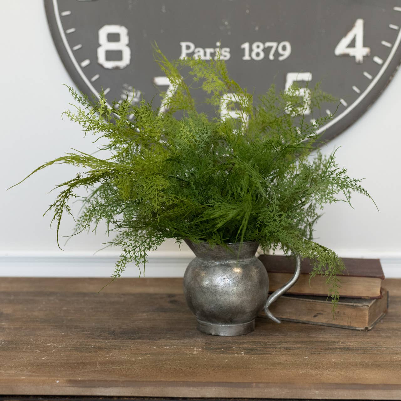 Asparagus Fern | 18"