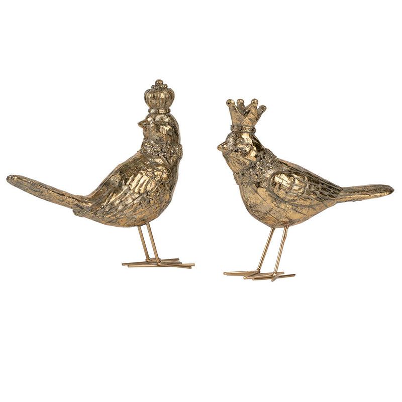 Gold Crown Birds