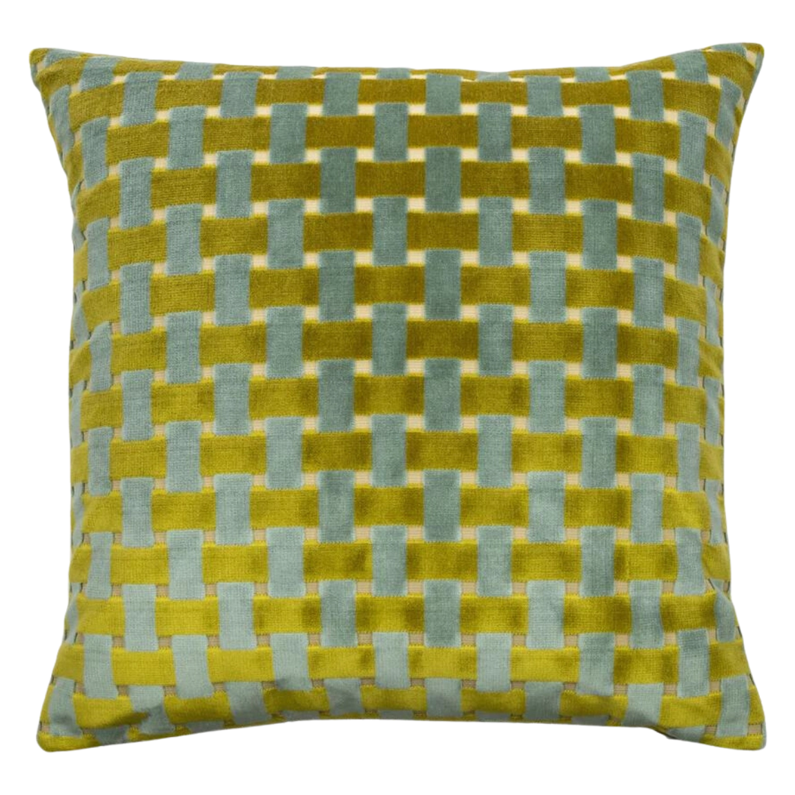 Gwen Velvet Throw Pillow