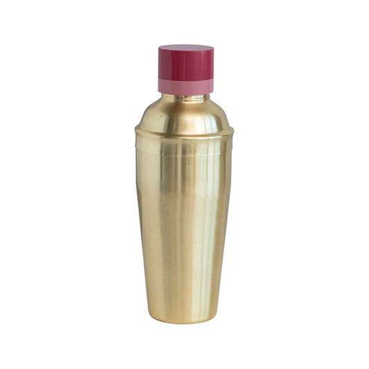Stainless Steel Cocktail Shaker | Pink
