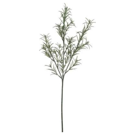 Rosemary Stem