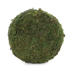 Small Round Moss Ball