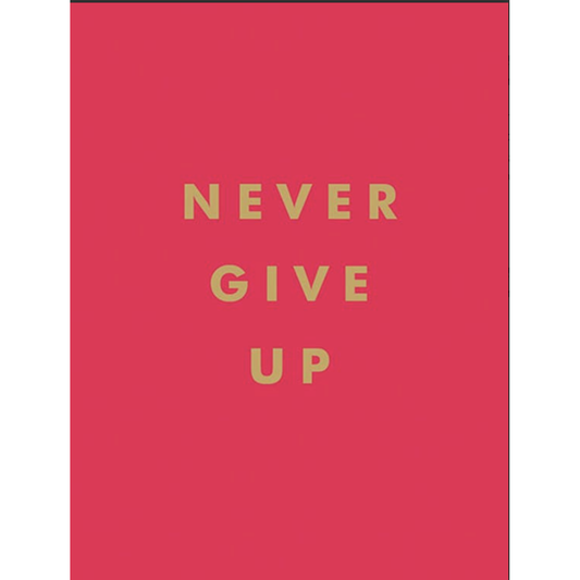 Never Give Up