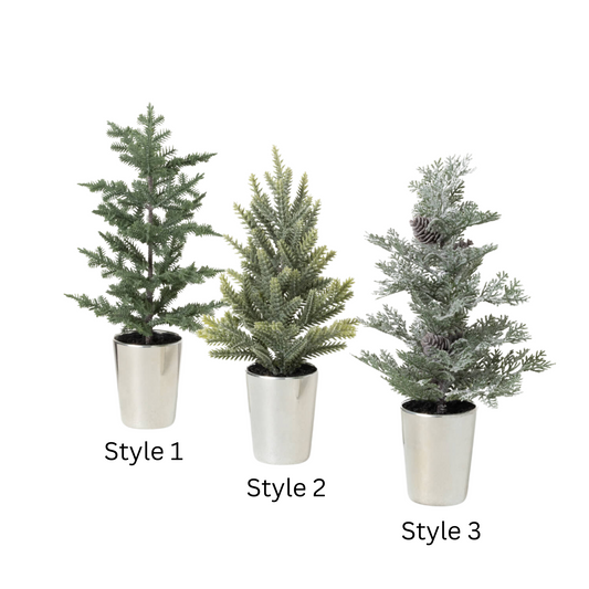 Tabletop Potted Pine Tree | 3 Styles