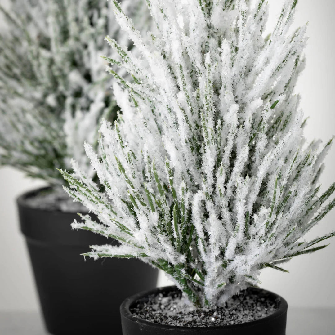 Flocked Pine Tree | 2 Sizes