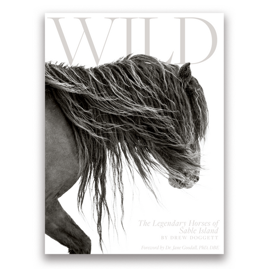 Wild: The Legendary Horses of Sable Island