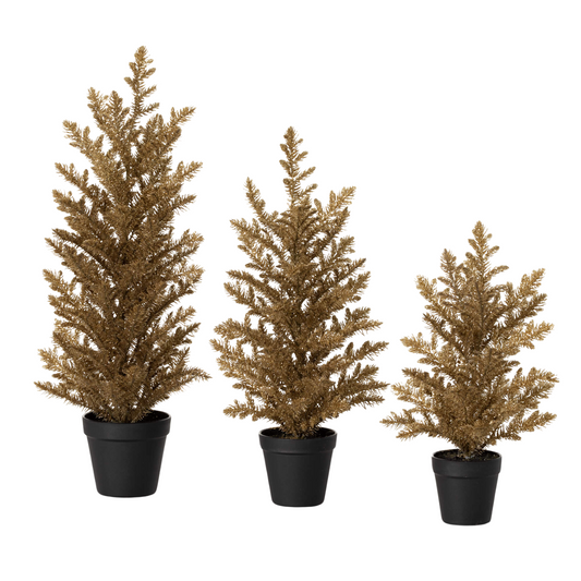 Gold Potted Pine Tree | 20"