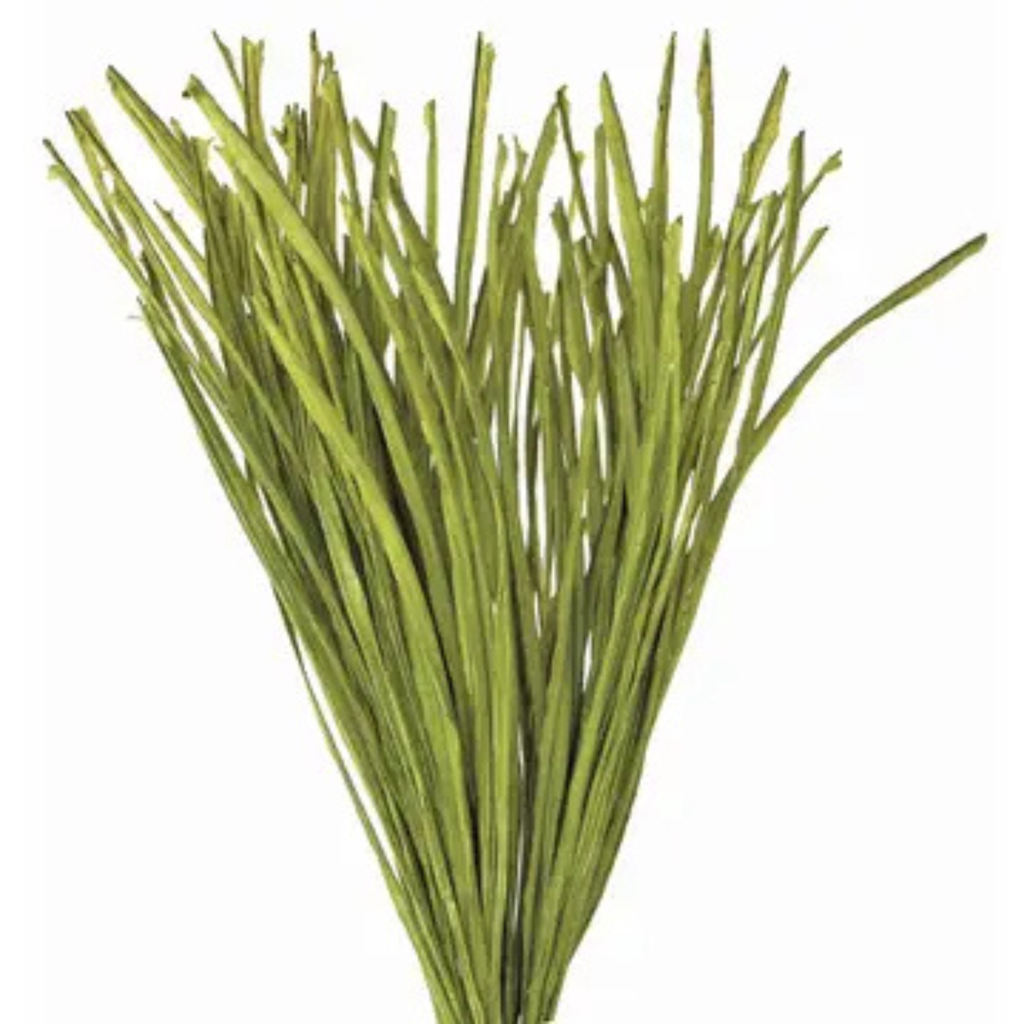 Grass Bundle