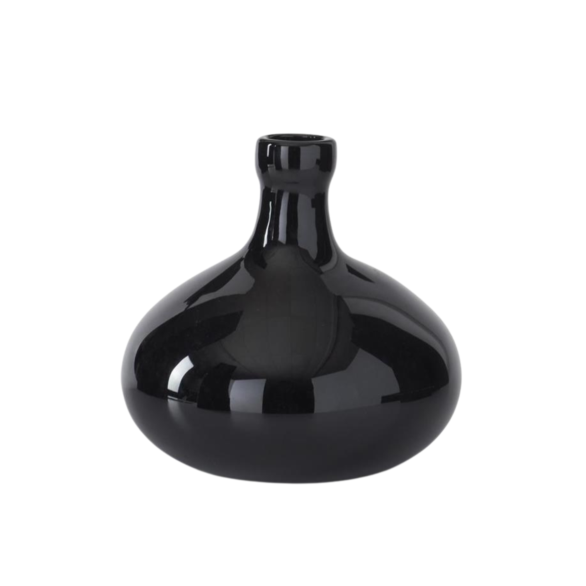 Black Long Neck Vase | 2 Sizes