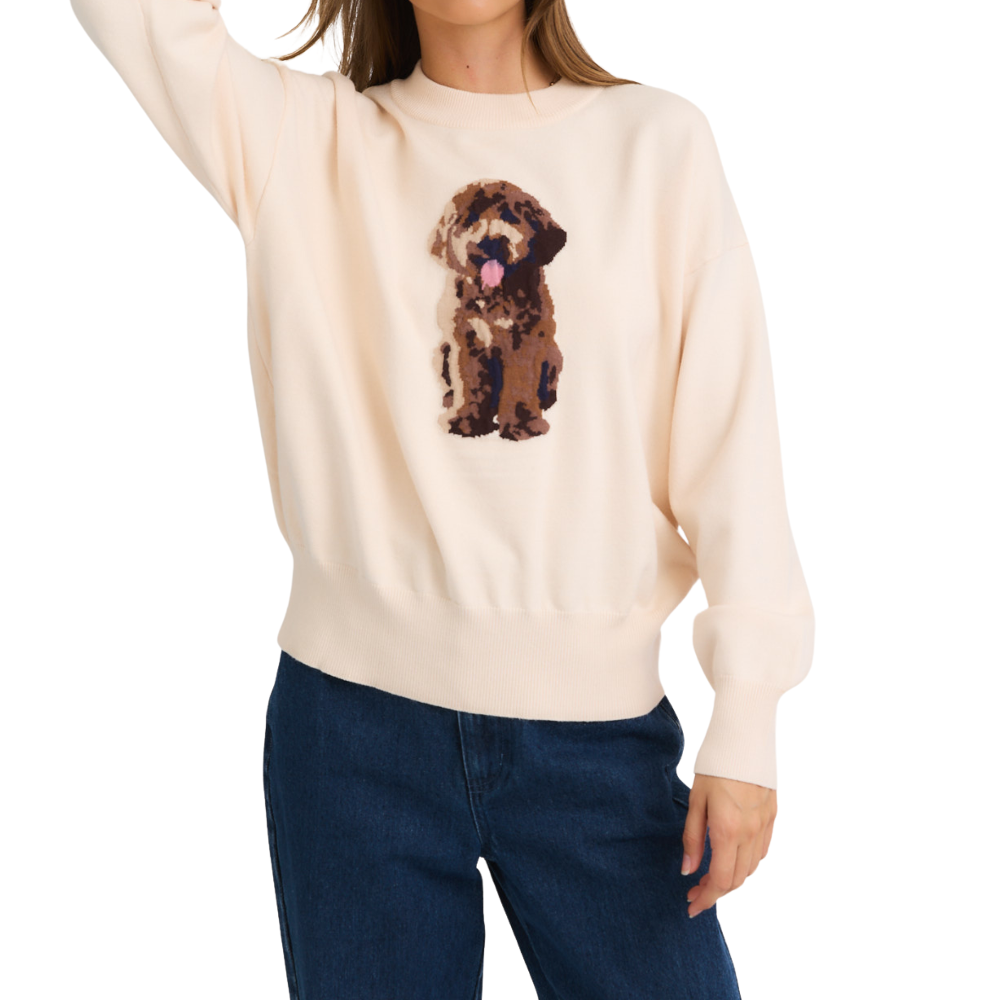 Long Sleeve Sweater With Puppy Graphic