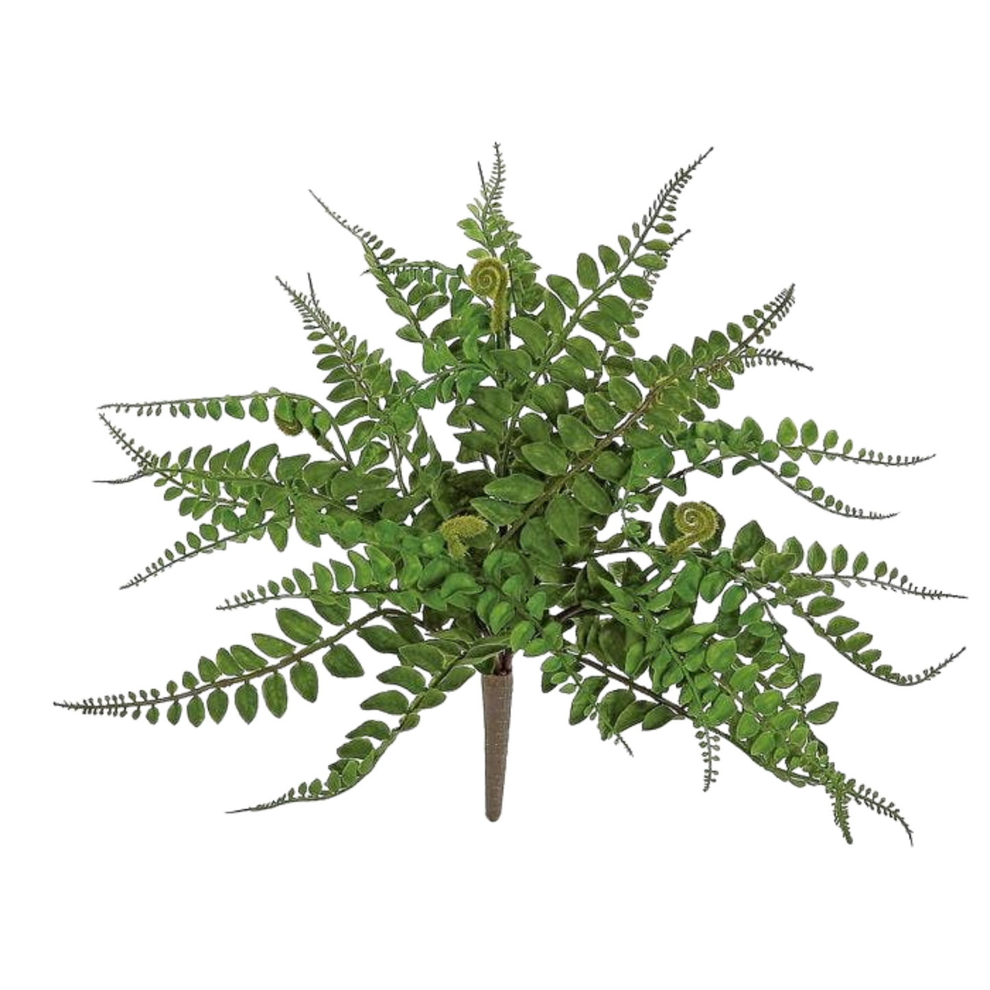 Forest Fern Bush - 16"