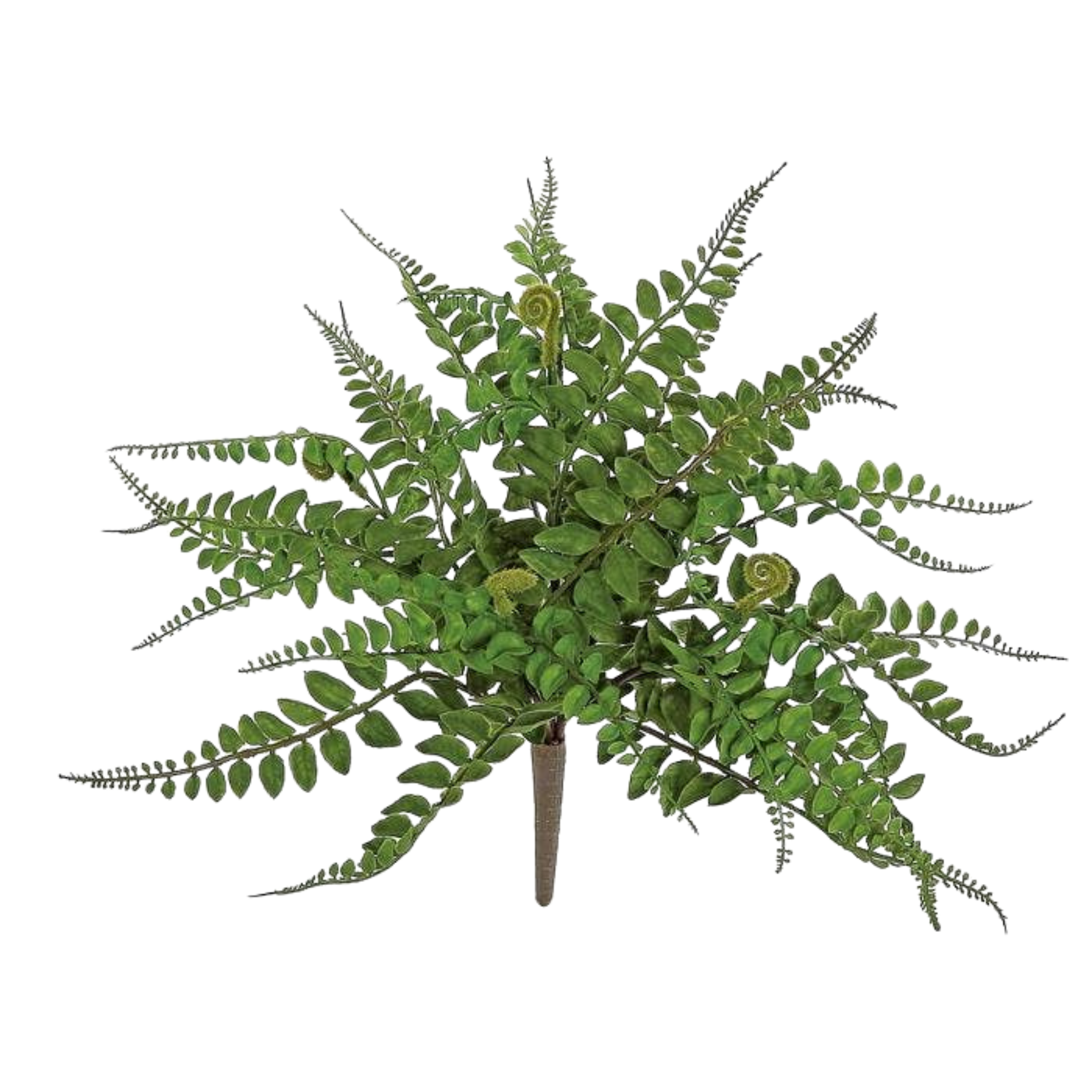 Forest Fern Bush | 16"