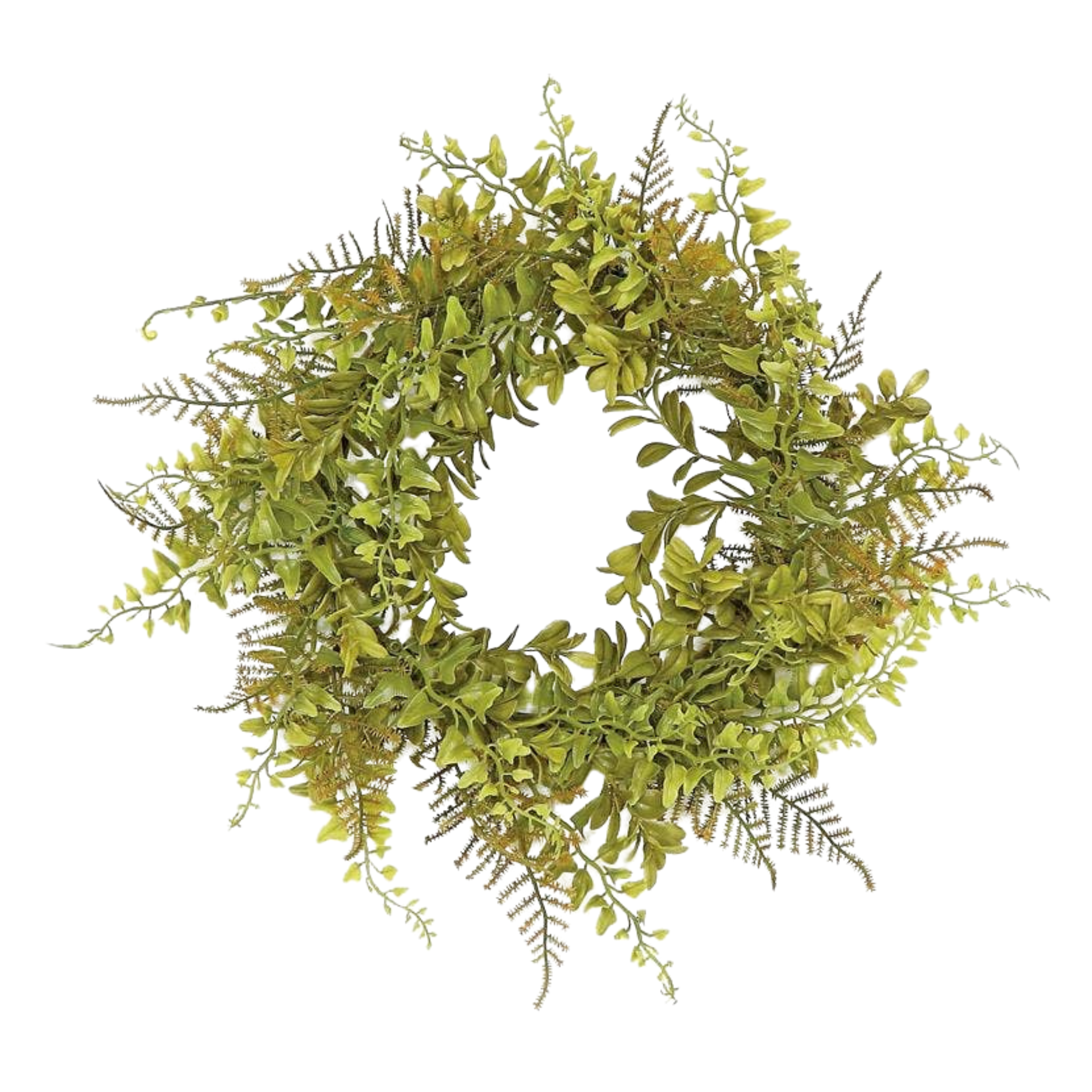 Mixed Fern Table Wreath | 6.5"