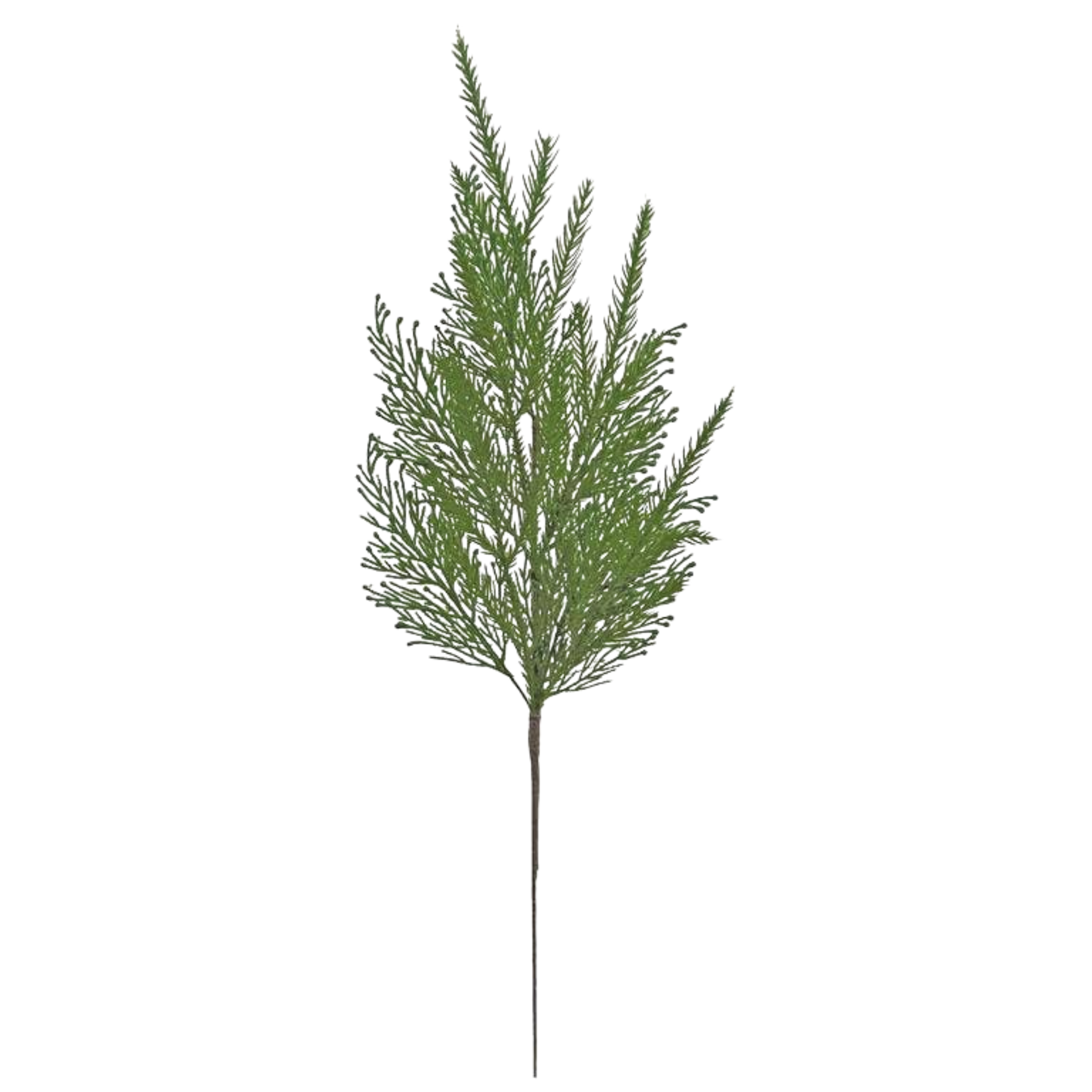 Mixed Cypress & Norfolk Pine Spray - 23"