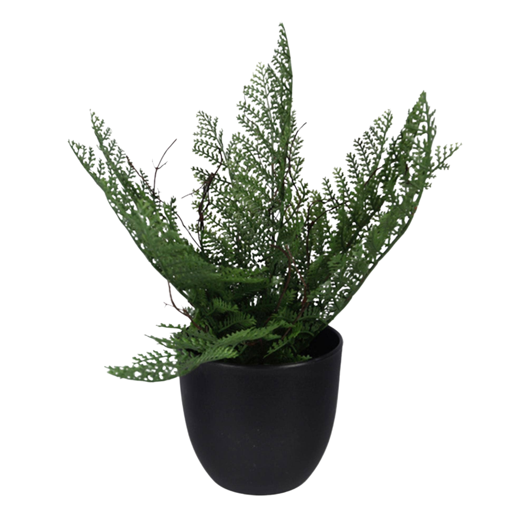 Artificial Fern In Plastic Pot