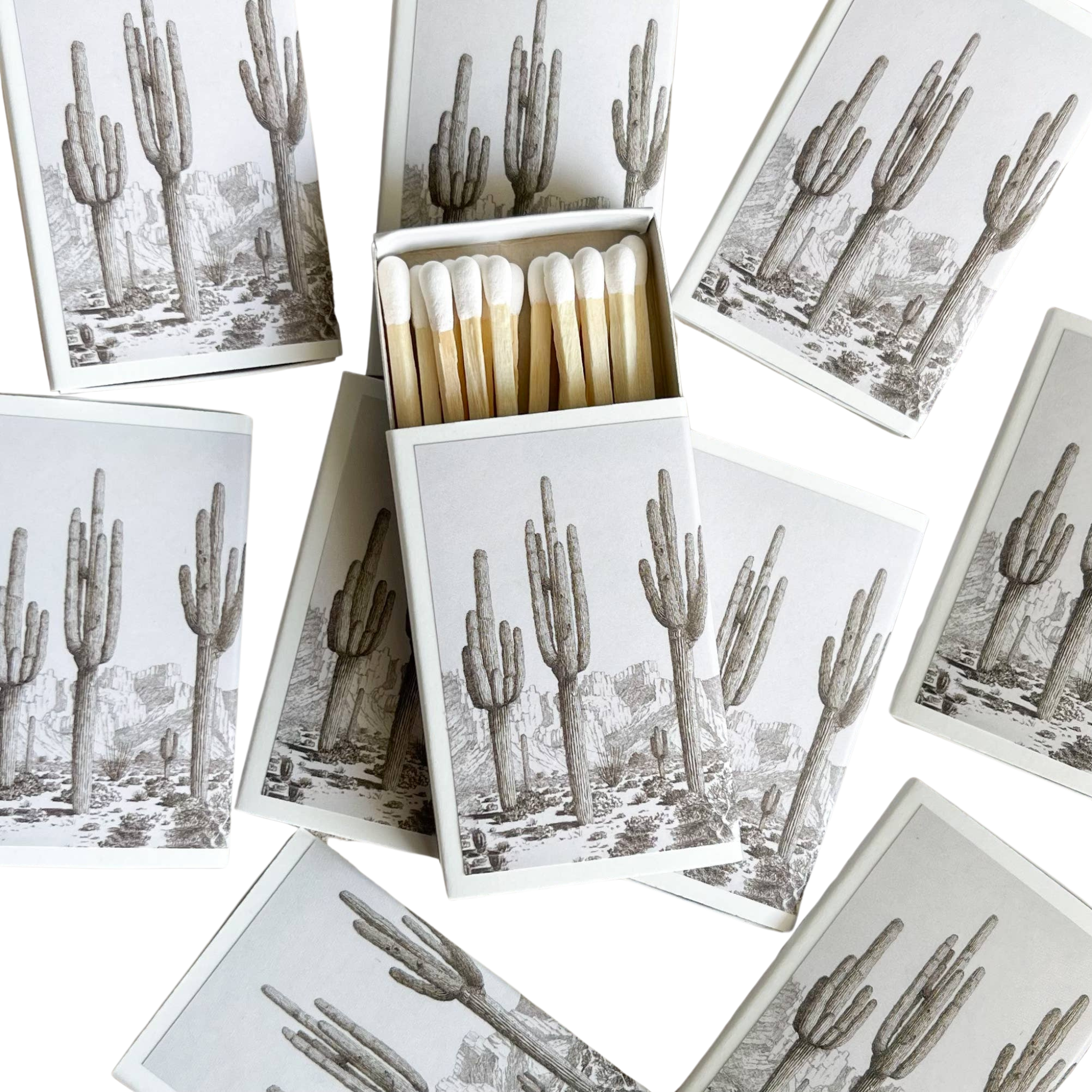 Desert Cactus Match Set