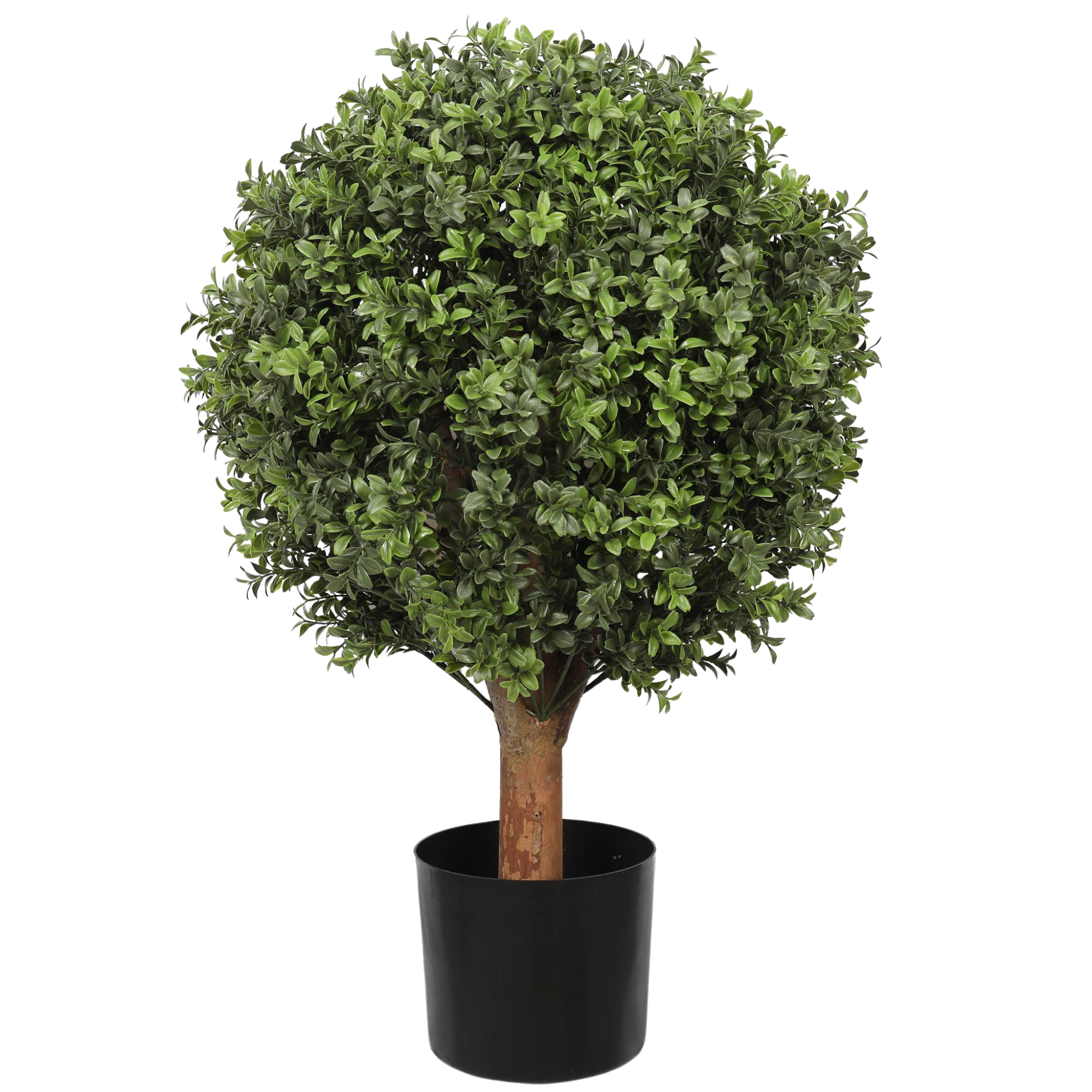 Boxwood Ball 20 X 30" Topiary