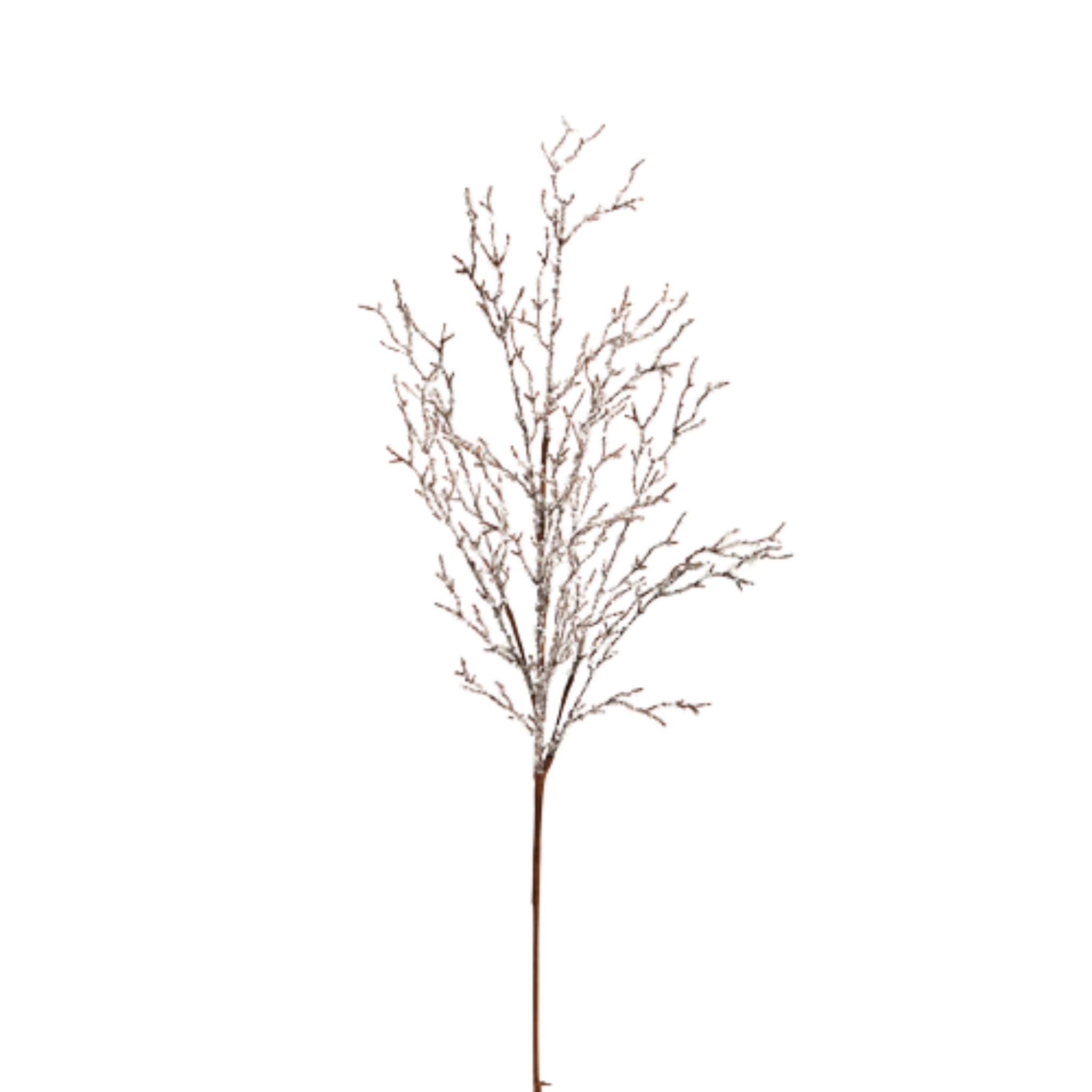 Iced Branch | 36"