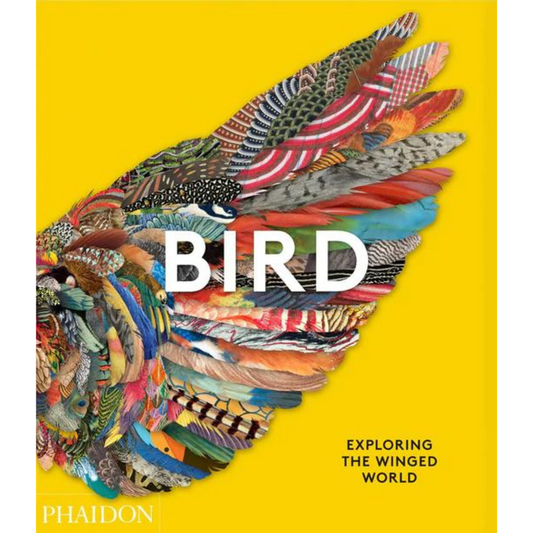 Bird: Exploring the Winged World