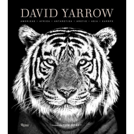 David Yarrow Photography