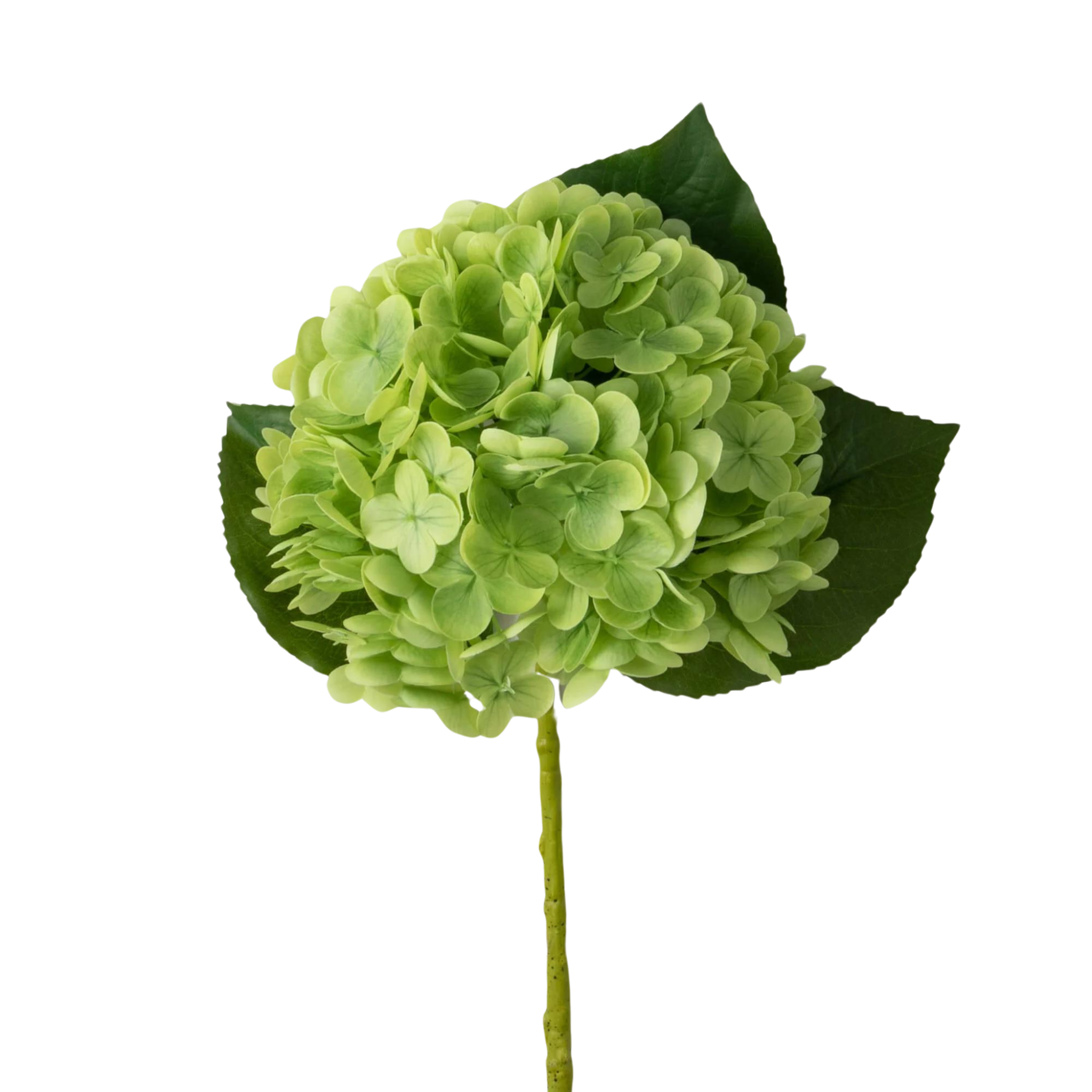 Green Hydrangea Spray | 20"