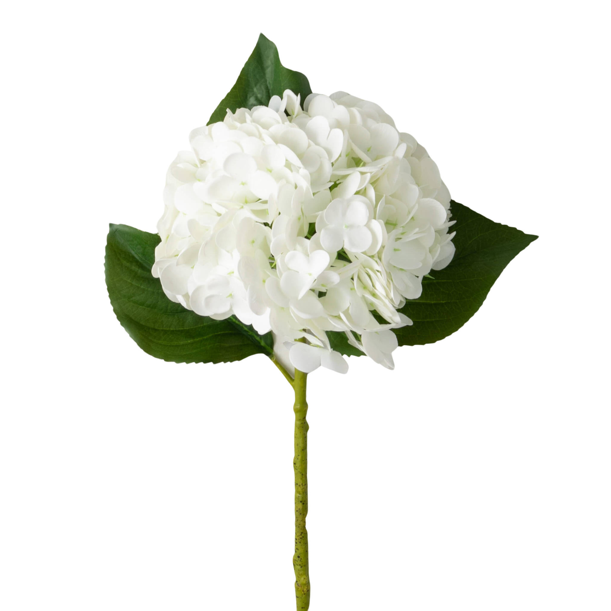 White Hydrangea Spray | 20"