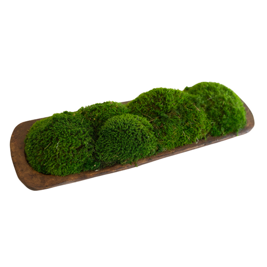 Moss Small Bread Wood Bowl: Natural