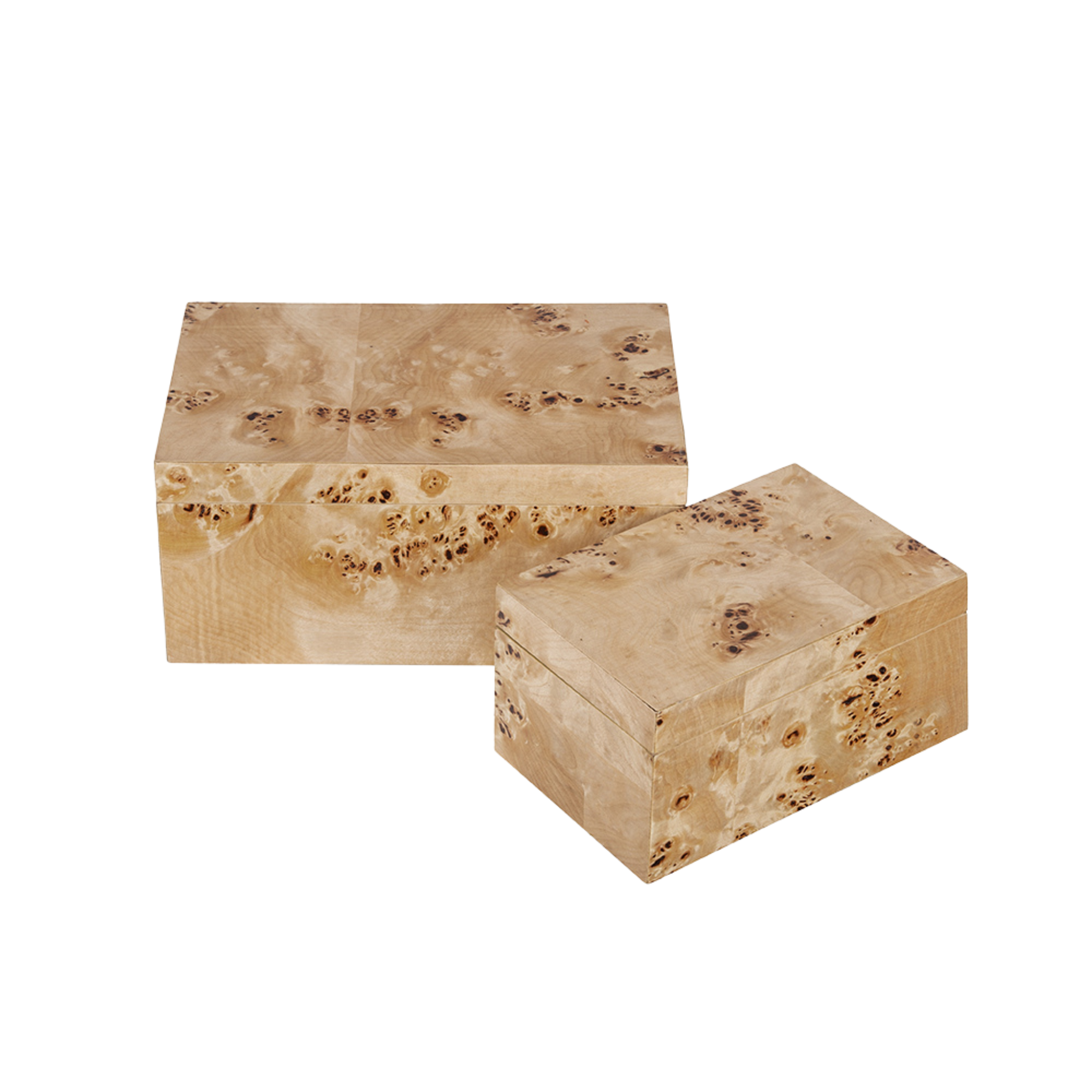 Burl Wood Storage Box | 2 sizes