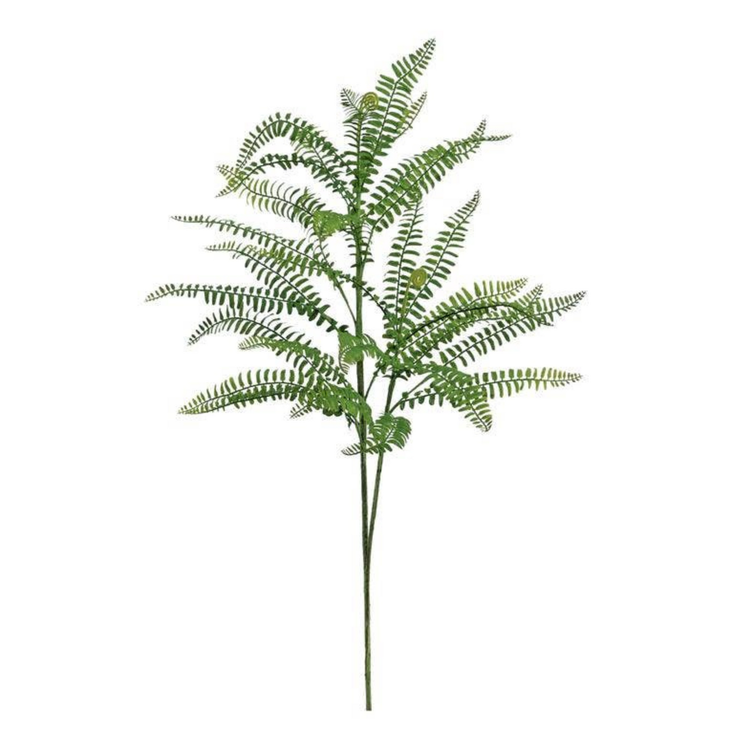 Fern Branch - 31"