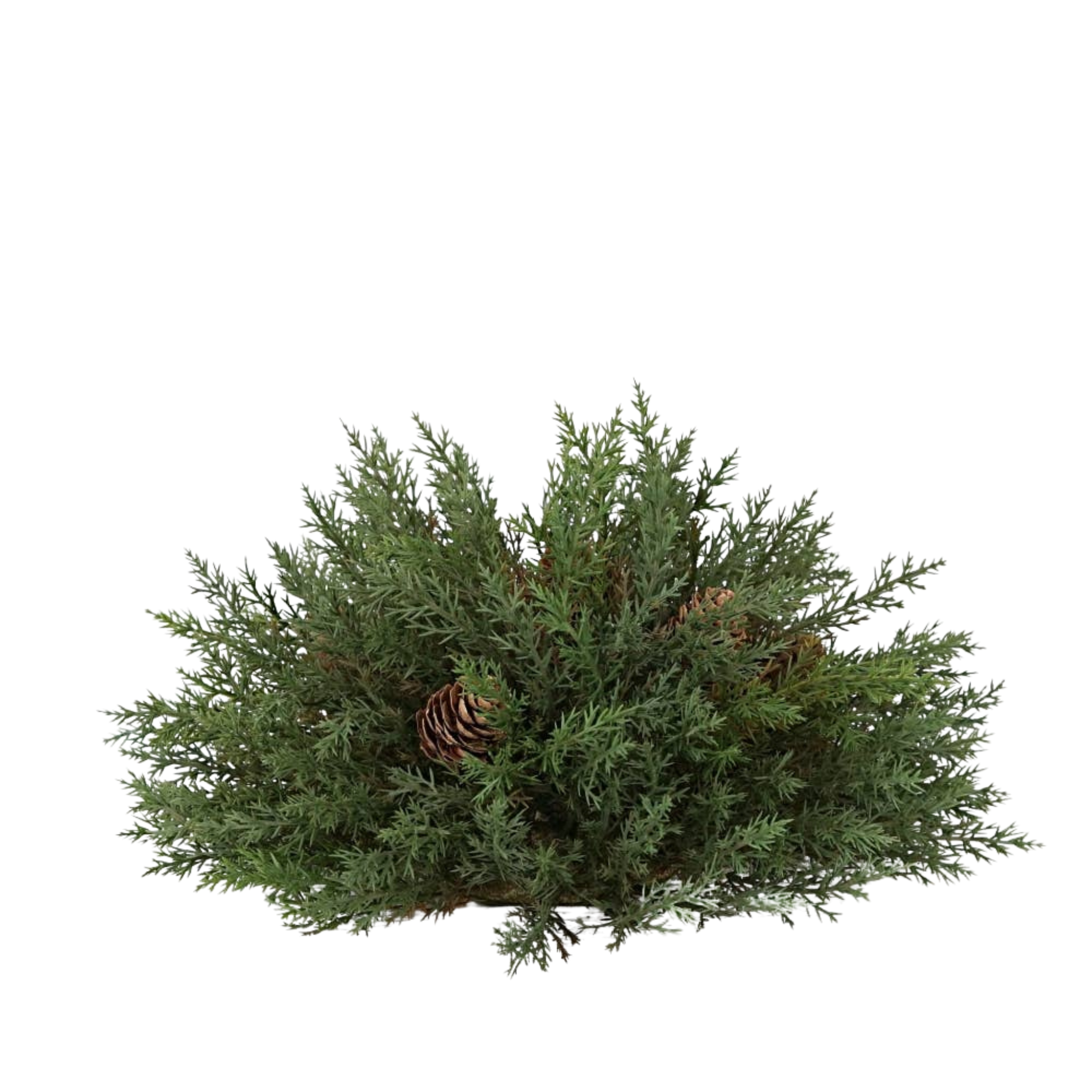 Dark Green Thyme Pine Sphere | 13"