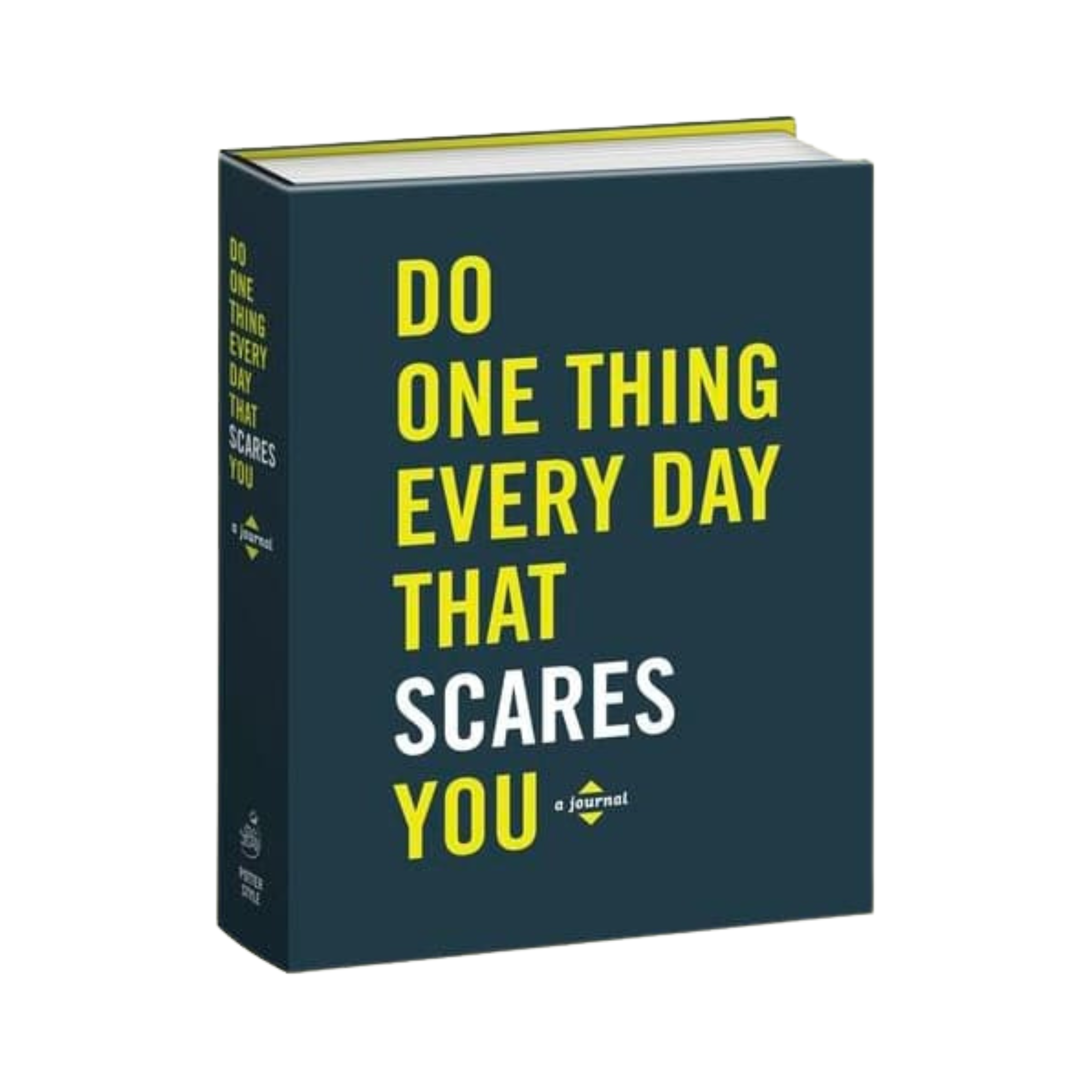 Do One Thing Every Day That Scares You