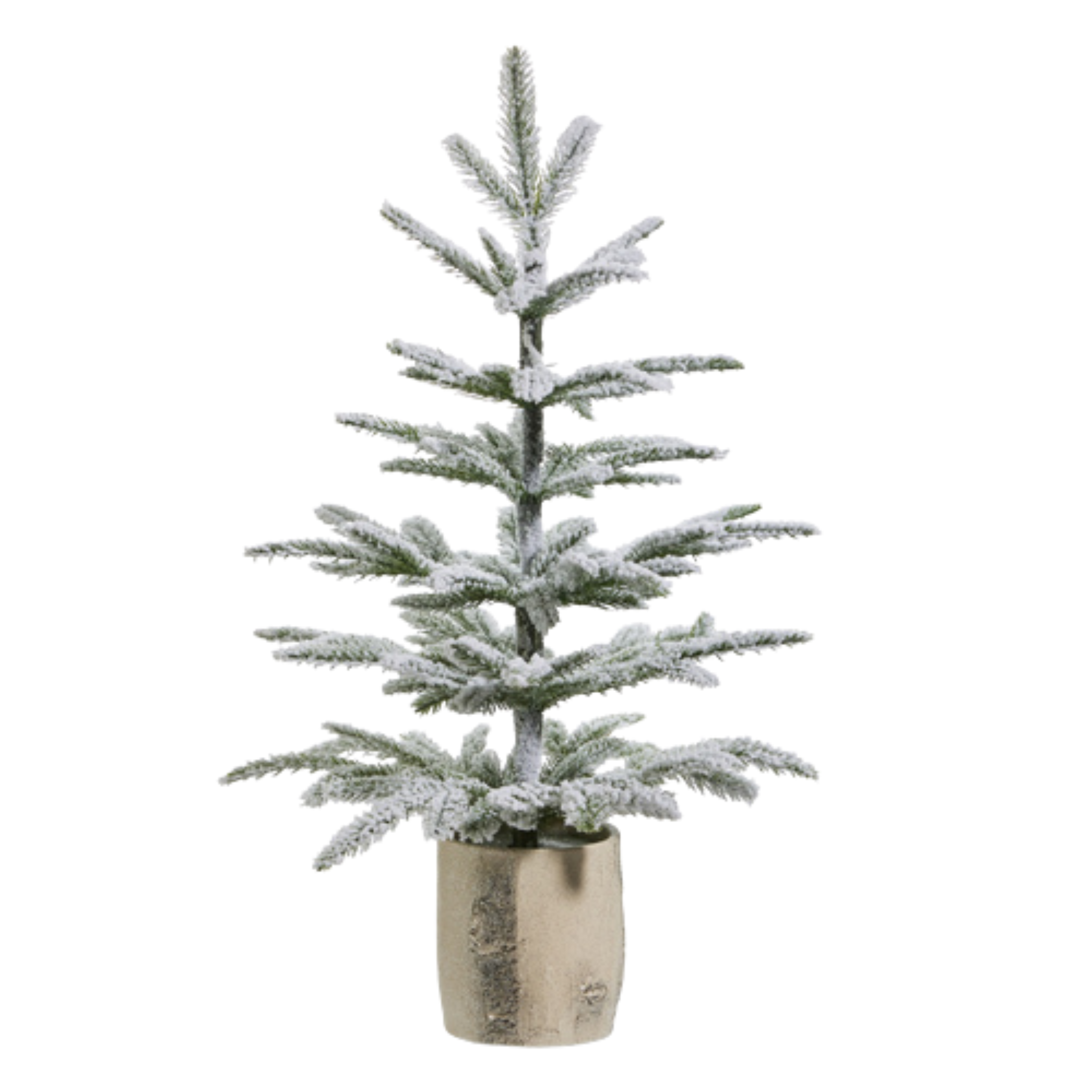 Potted Flocked Spruce | 24"