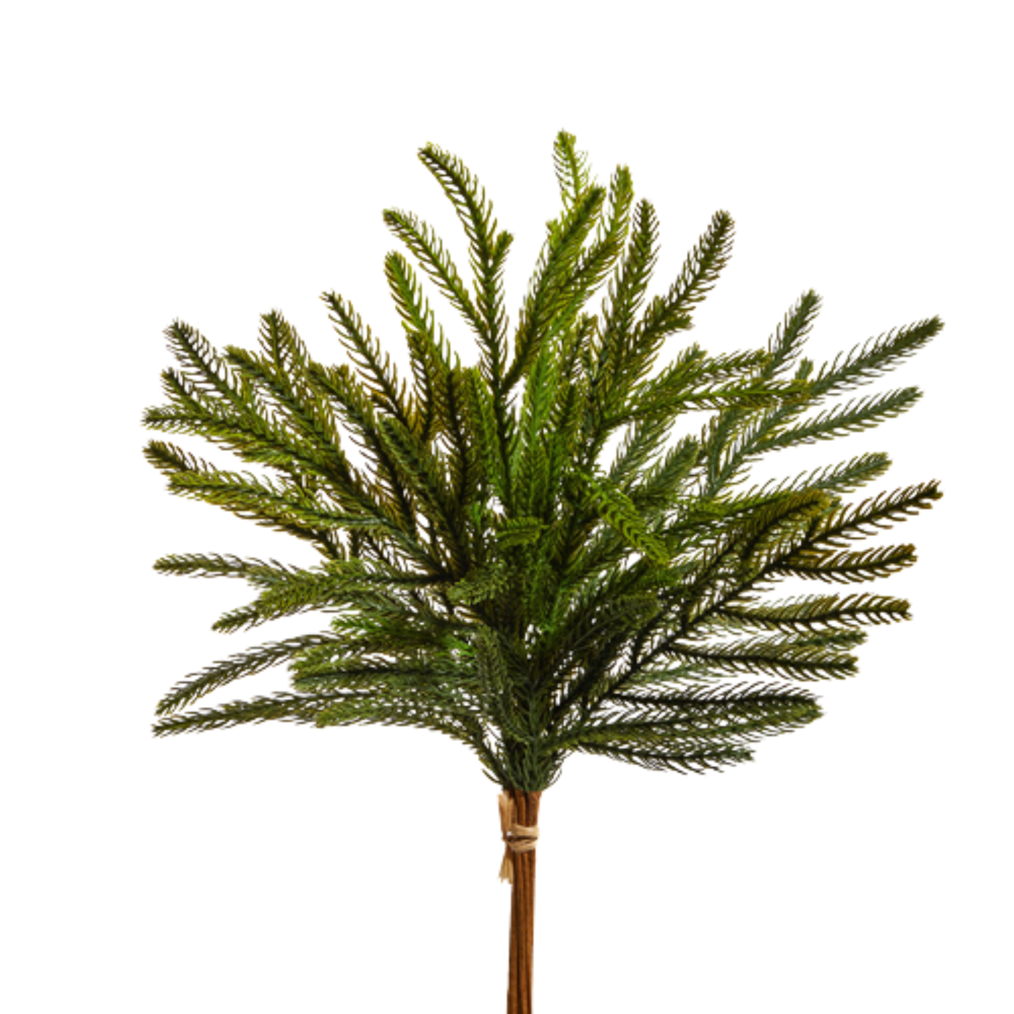 Balsam Fir Bundle | 18"