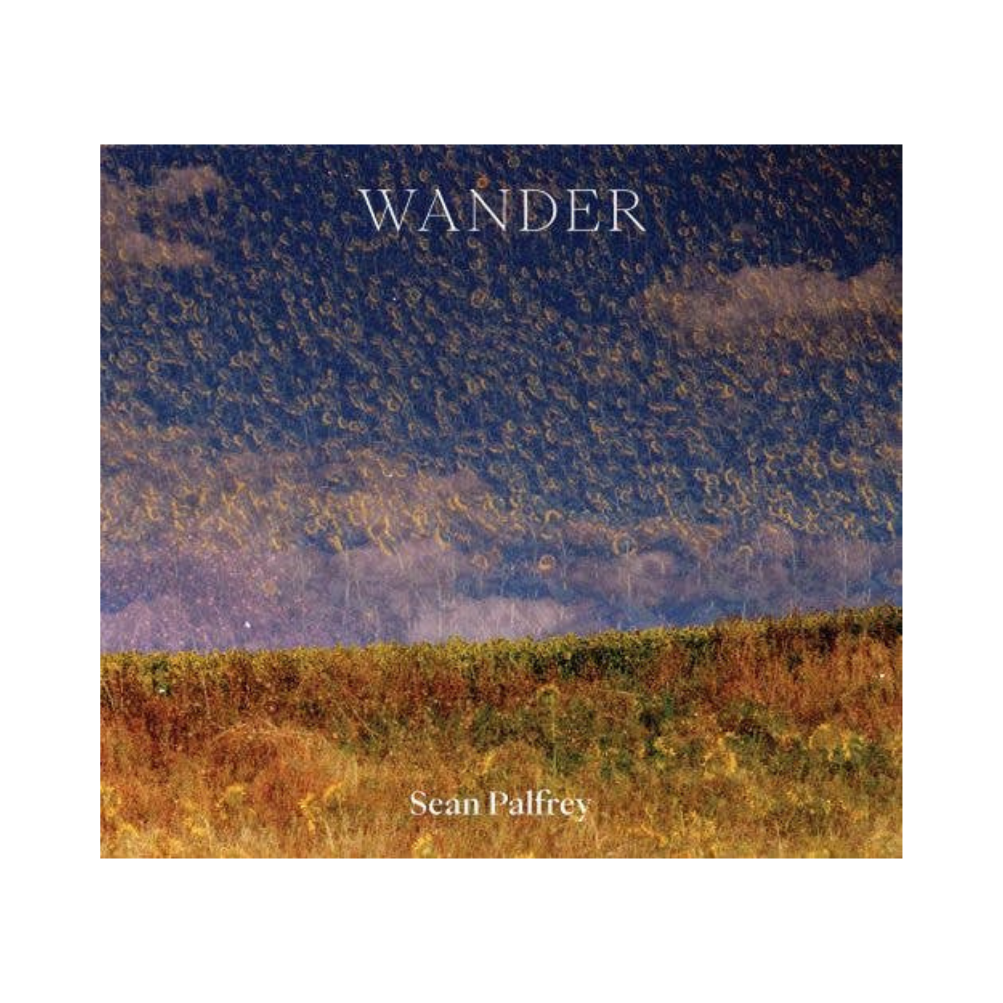 Wander