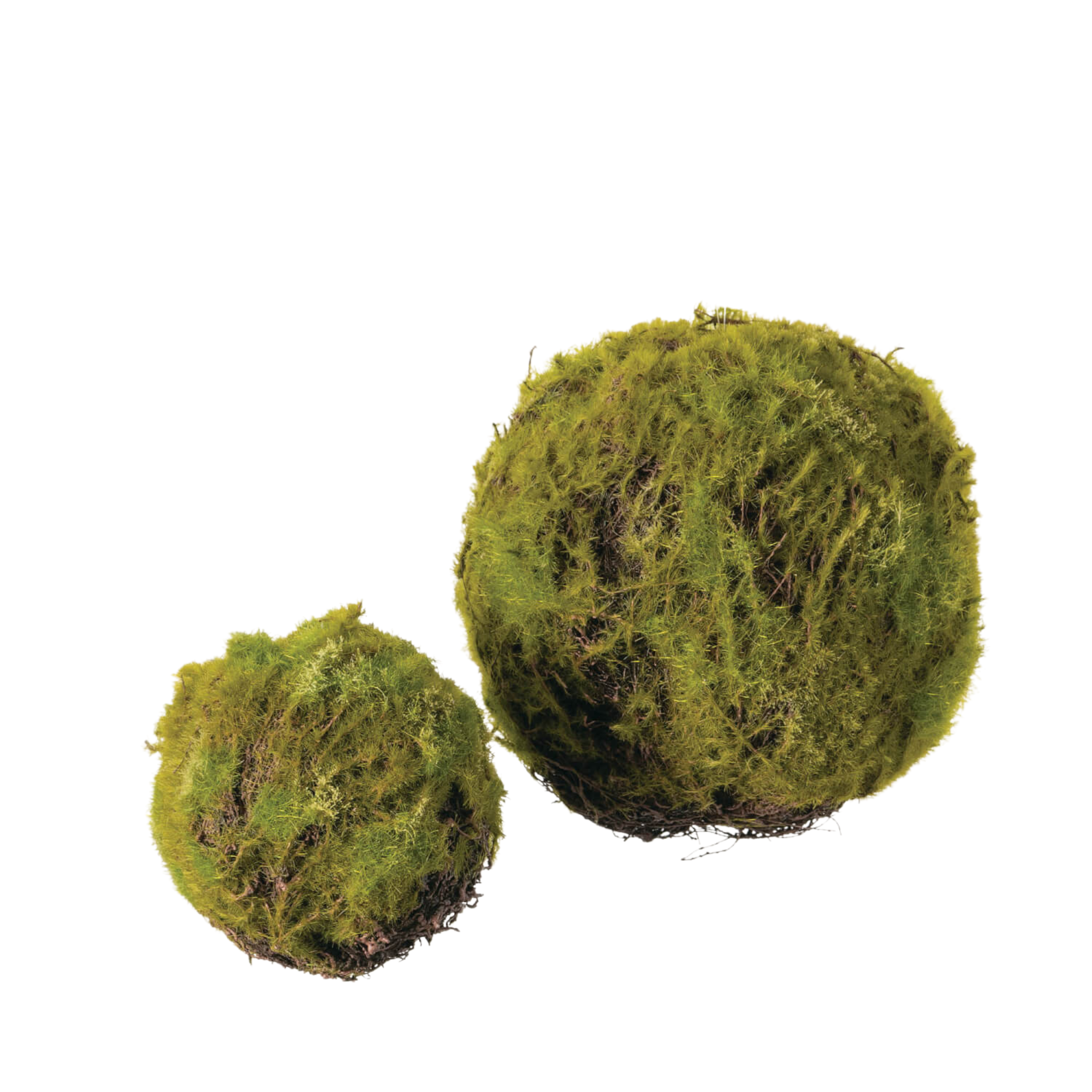 Moss Orbs | 2 Sizes