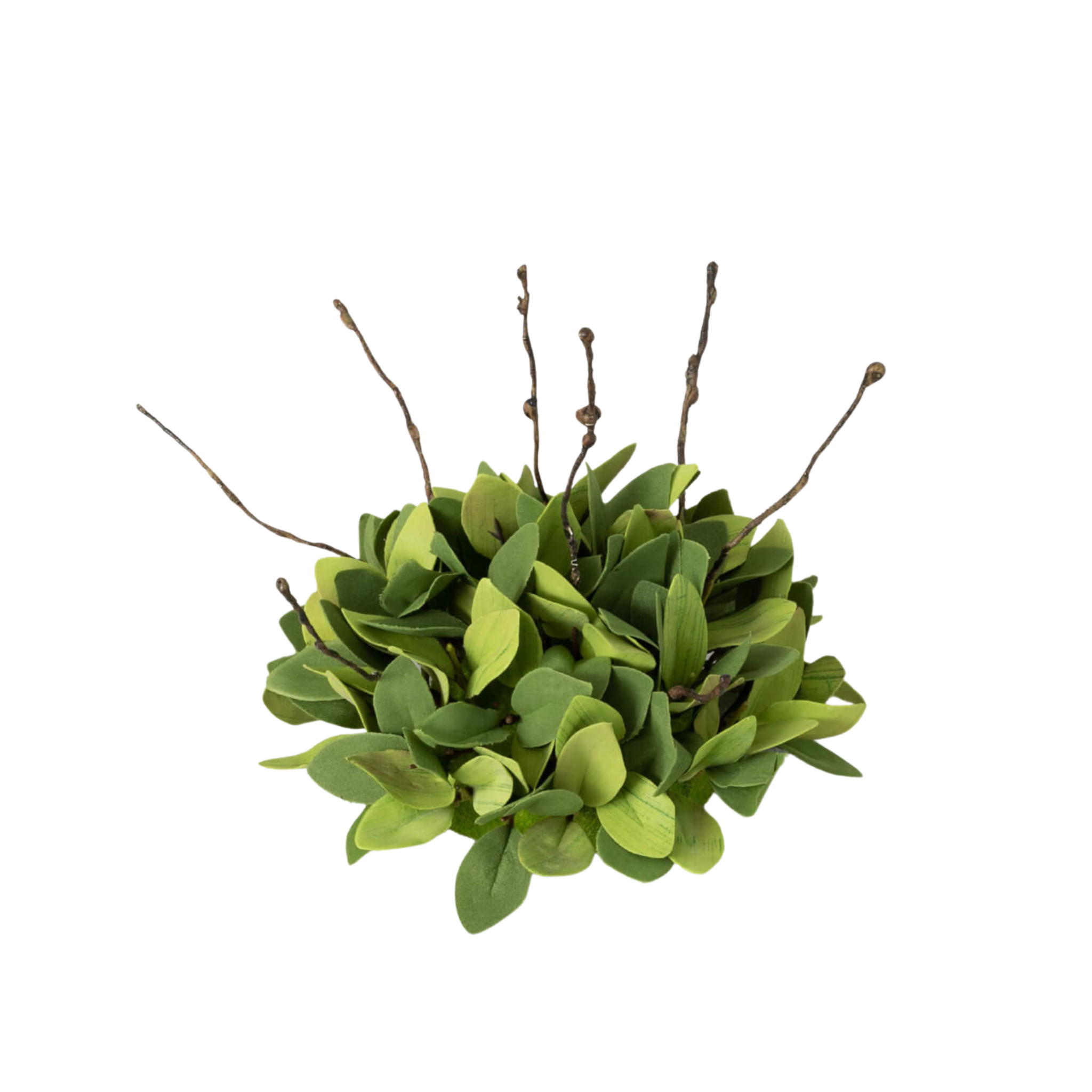 Ruscus Leafy Twig Half Orb