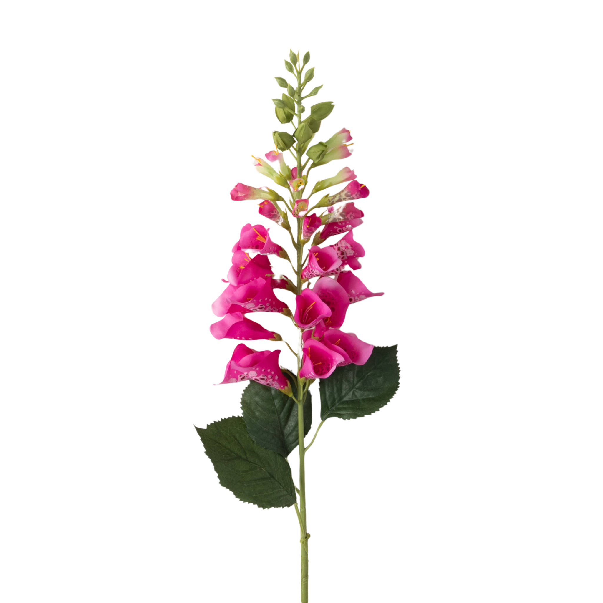 Foxglove Spray Pink